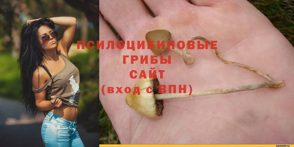mdpv Арсеньев