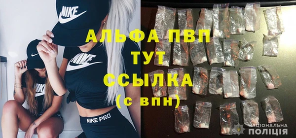 амф Аркадак