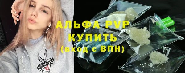 амф Аркадак
