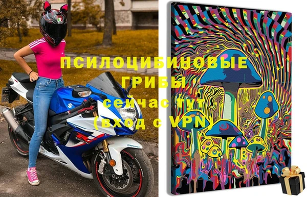 mdpv Арсеньев