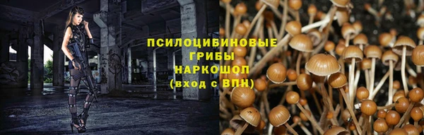 амф Аркадак
